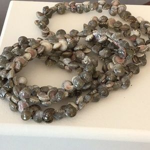 Stunning seashell necklace